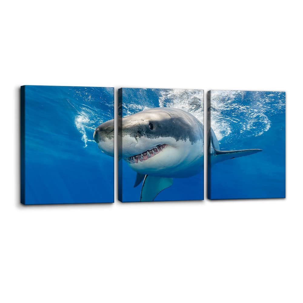 3 Pieces Mountain Canvas Wall Art for Living Room Nature Landscape Picture Sunflower Wall Decor for Bedroom Home Decoration Sunrise Grand Teton National Park Painting Framed Artwork - 12" x 16" x 3
