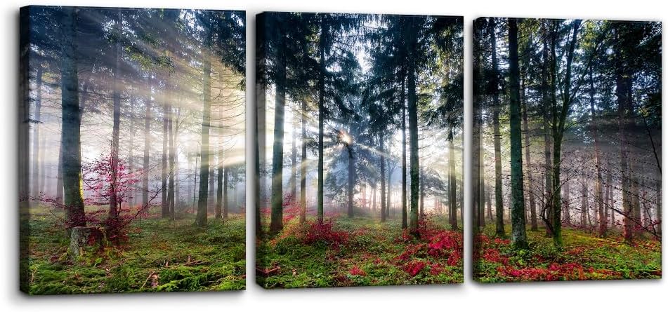 Pacimo 3 Pieces Canvas Wall Art Nature Landscape Sunrise Trees Pictures Painting Prints on Canvas Wall Decoration for Living Room Forest Framed Modern Artwork for Bedroom and Home Decor - 12"x16"x3