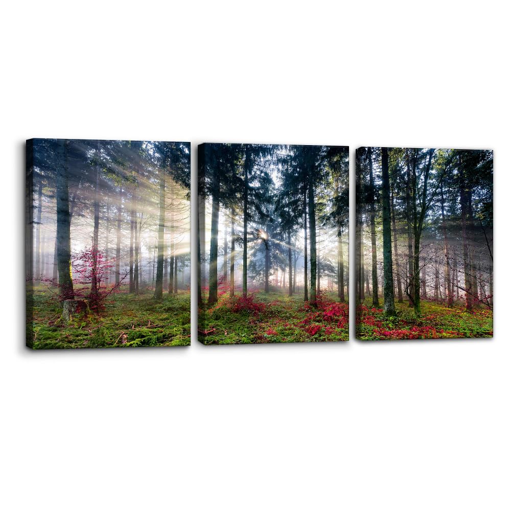 Pacimo 3 Pieces Canvas Wall Art Nature Landscape Sunrise Trees Pictures Painting Prints on Canvas Wall Decoration for Living Room Forest Framed Modern Artwork for Bedroom and Home Decor - 12"x16"x3