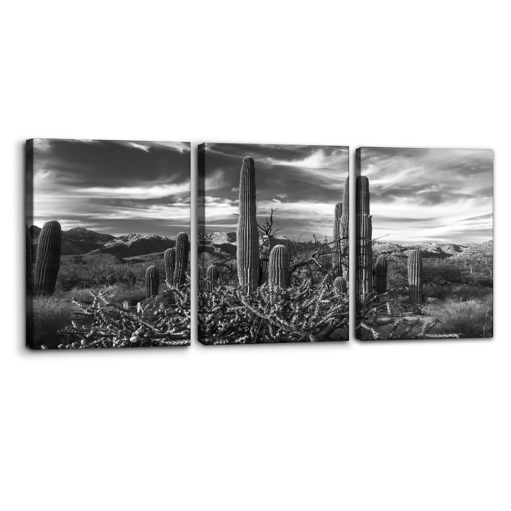 Pacimo 3 Pieces Canvas Wall Art Nature Landscape Sunrise Trees Pictures Painting Prints on Canvas Wall Decoration for Living Room Forest Framed Modern Artwork for Bedroom and Home Decor - 12"x16"x3