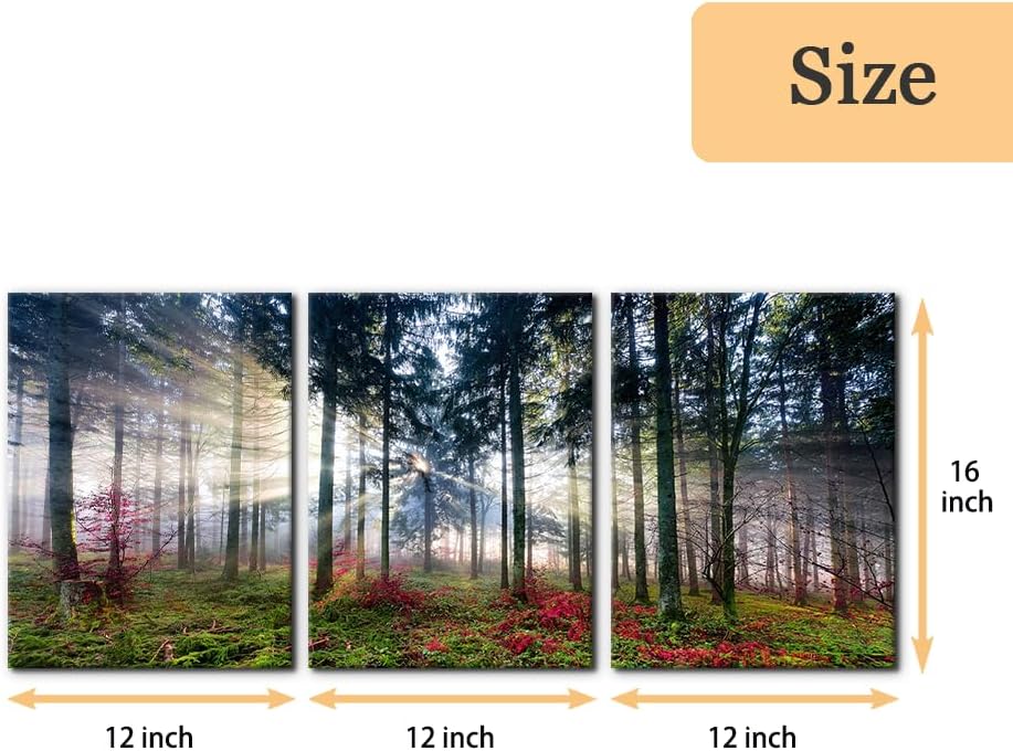 Pacimo 3 Pieces Canvas Wall Art Nature Landscape Sunrise Trees Pictures Painting Prints on Canvas Wall Decoration for Living Room Forest Framed Modern Artwork for Bedroom and Home Decor - 12"x16"x3