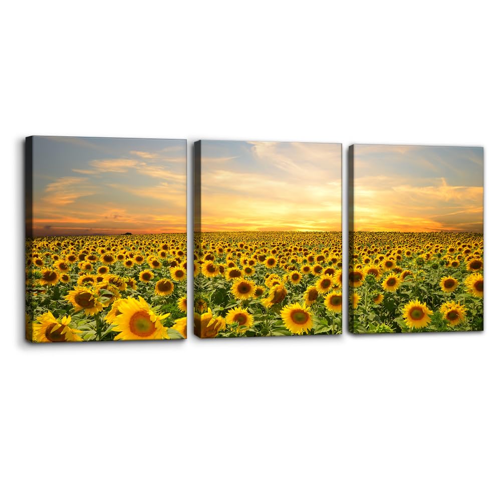 Pacimo 3 Pieces Canvas Wall Art Nature Landscape Sunrise Trees Pictures Painting Prints on Canvas Wall Decoration for Living Room Forest Framed Modern Artwork for Bedroom and Home Decor - 12"x16"x3
