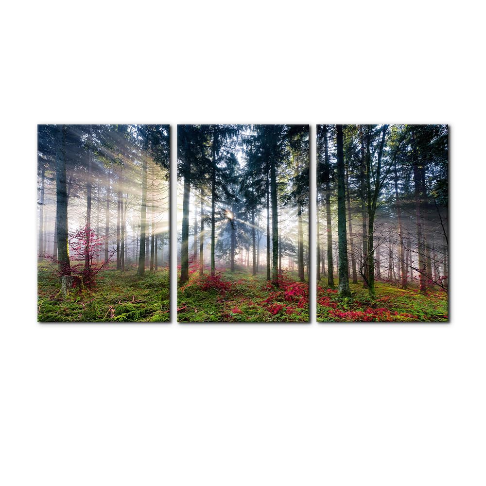 Pacimo 3 Pieces Canvas Wall Art Nature Landscape Sunrise Trees Pictures Painting Prints on Canvas Wall Decoration for Living Room Forest Framed Modern Artwork for Bedroom and Home Decor - 12"x16"x3