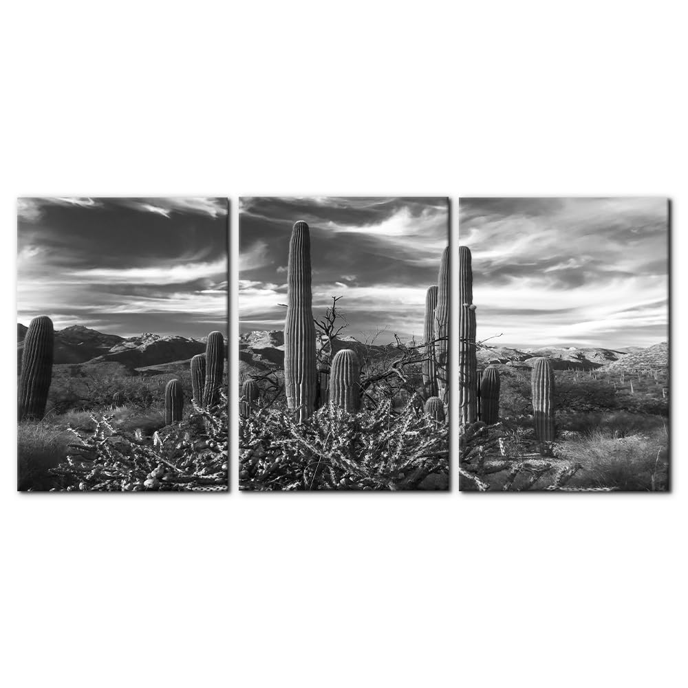 Pacimo 3 Pieces Canvas Wall Art Nature Landscape Sunrise Trees Pictures Painting Prints on Canvas Wall Decoration for Living Room Forest Framed Modern Artwork for Bedroom and Home Decor - 12"x16"x3