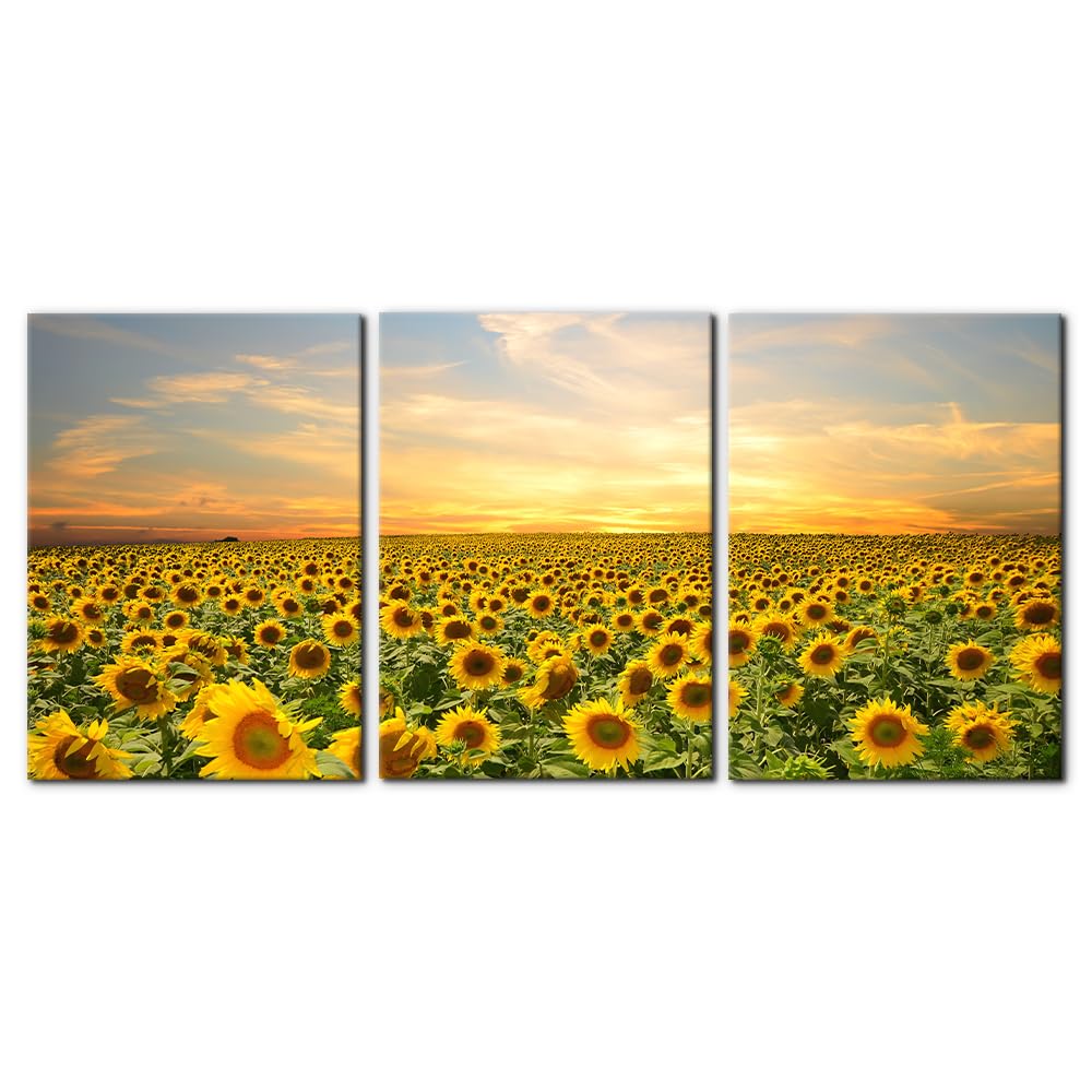 Pacimo 3 Pieces Canvas Wall Art Nature Landscape Sunrise Trees Pictures Painting Prints on Canvas Wall Decoration for Living Room Forest Framed Modern Artwork for Bedroom and Home Decor - 12"x16"x3
