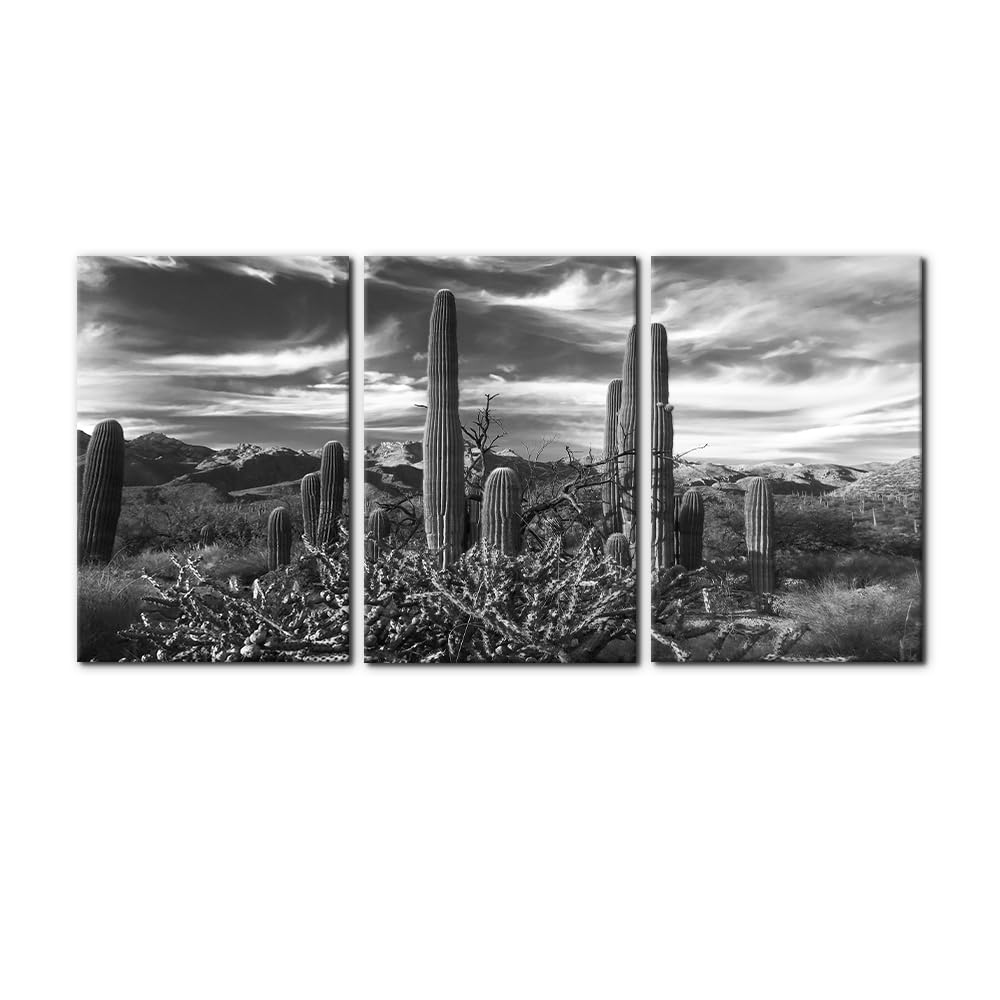 Pacimo 3 Pieces Canvas Wall Art Nature Landscape Sunrise Trees Pictures Painting Prints on Canvas Wall Decoration for Living Room Forest Framed Modern Artwork for Bedroom and Home Decor - 12"x16"x3