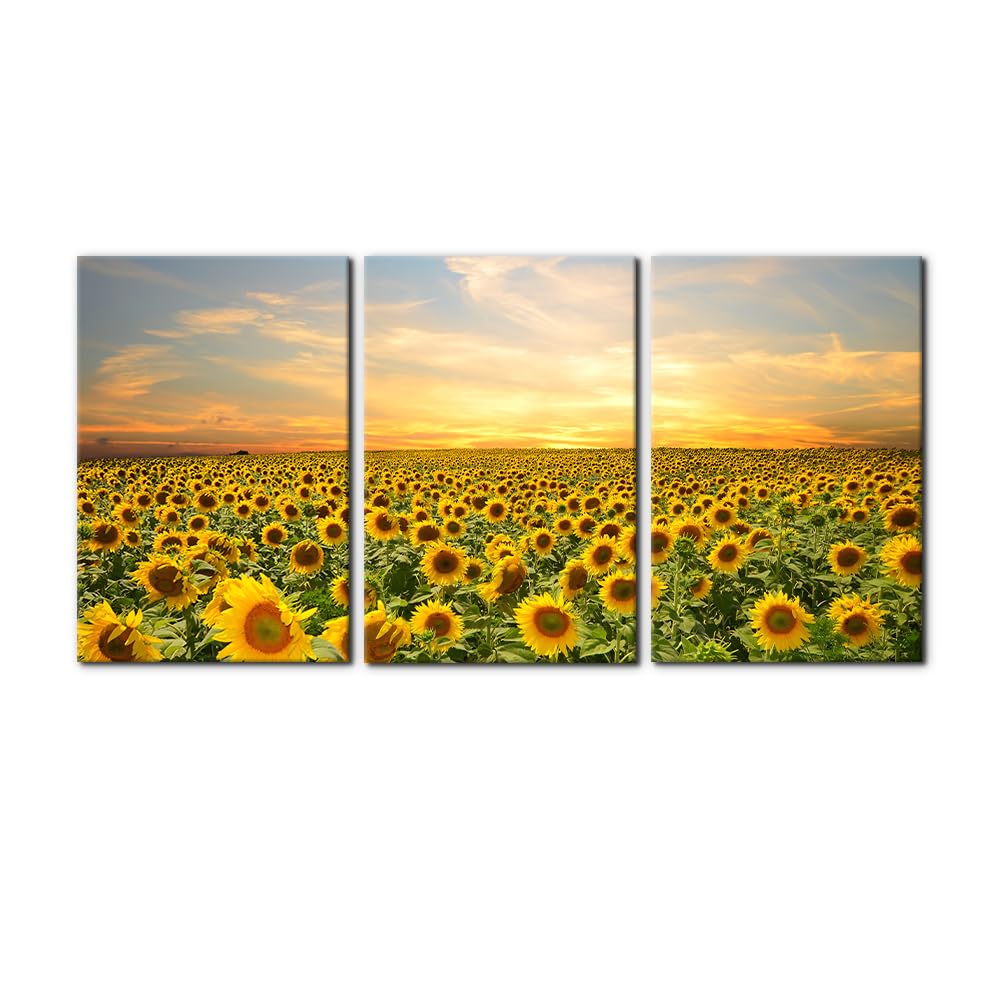 Pacimo 3 Pieces Canvas Wall Art Nature Landscape Sunrise Trees Pictures Painting Prints on Canvas Wall Decoration for Living Room Forest Framed Modern Artwork for Bedroom and Home Decor - 12"x16"x3