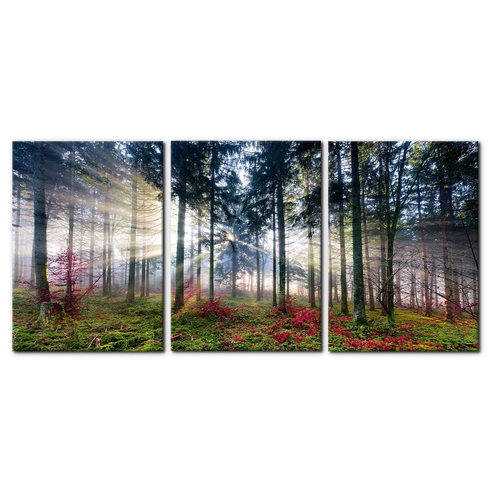 Pacimo 3 Pieces Canvas Wall Art Nature Landscape Sunrise Trees Pictures Painting Prints on Canvas Wall Decoration for Living Room Forest Framed Modern Artwork for Bedroom and Home Decor - 12"x16"x3