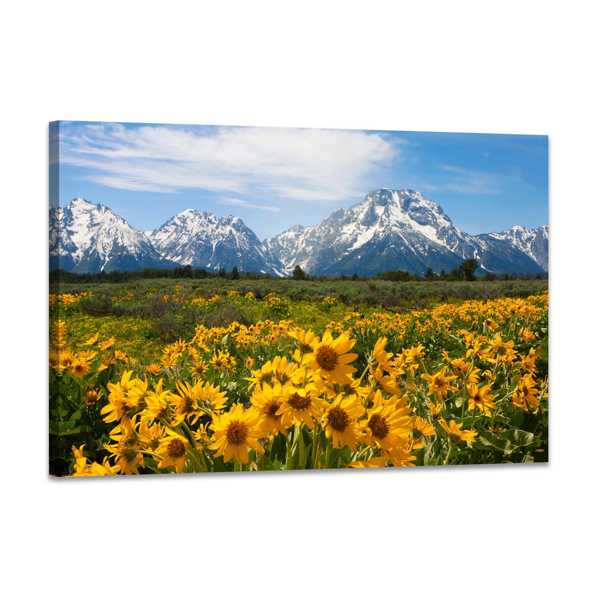 SKASNFAI Grand Teton National Park Canvas Wall Art Mountain Landscape Print Picture Framed Nature Wall Decor for Living Room Office (12L x 16W)