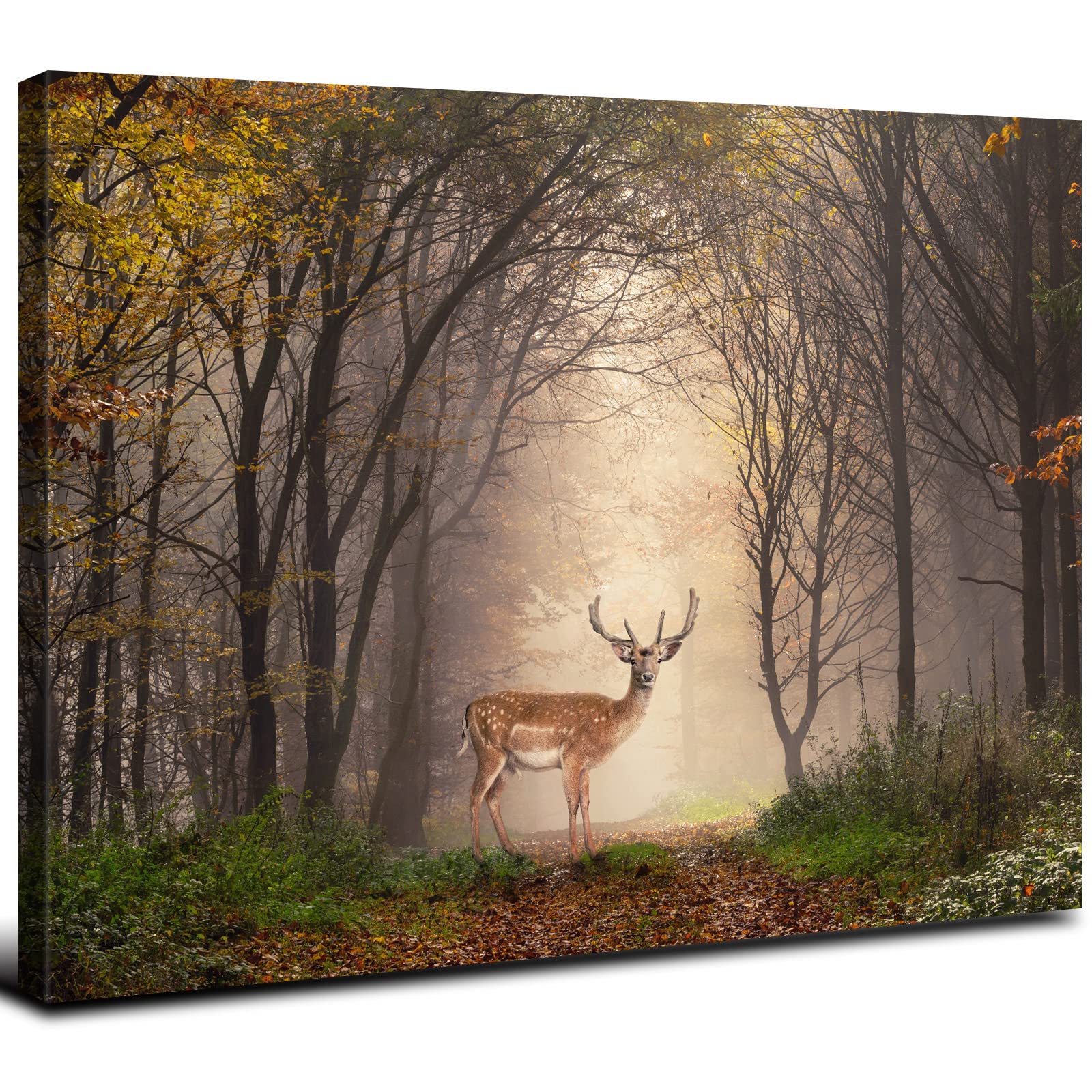 Sunrise Forest Canvas Wall Art for Living Room Nature Landscape Pictures Wall Decor Sunset Woods Mountain Painting Sunset Trees Trail Scenery Photo Prints Poster Artwork Bathroom Decorations 12x16”