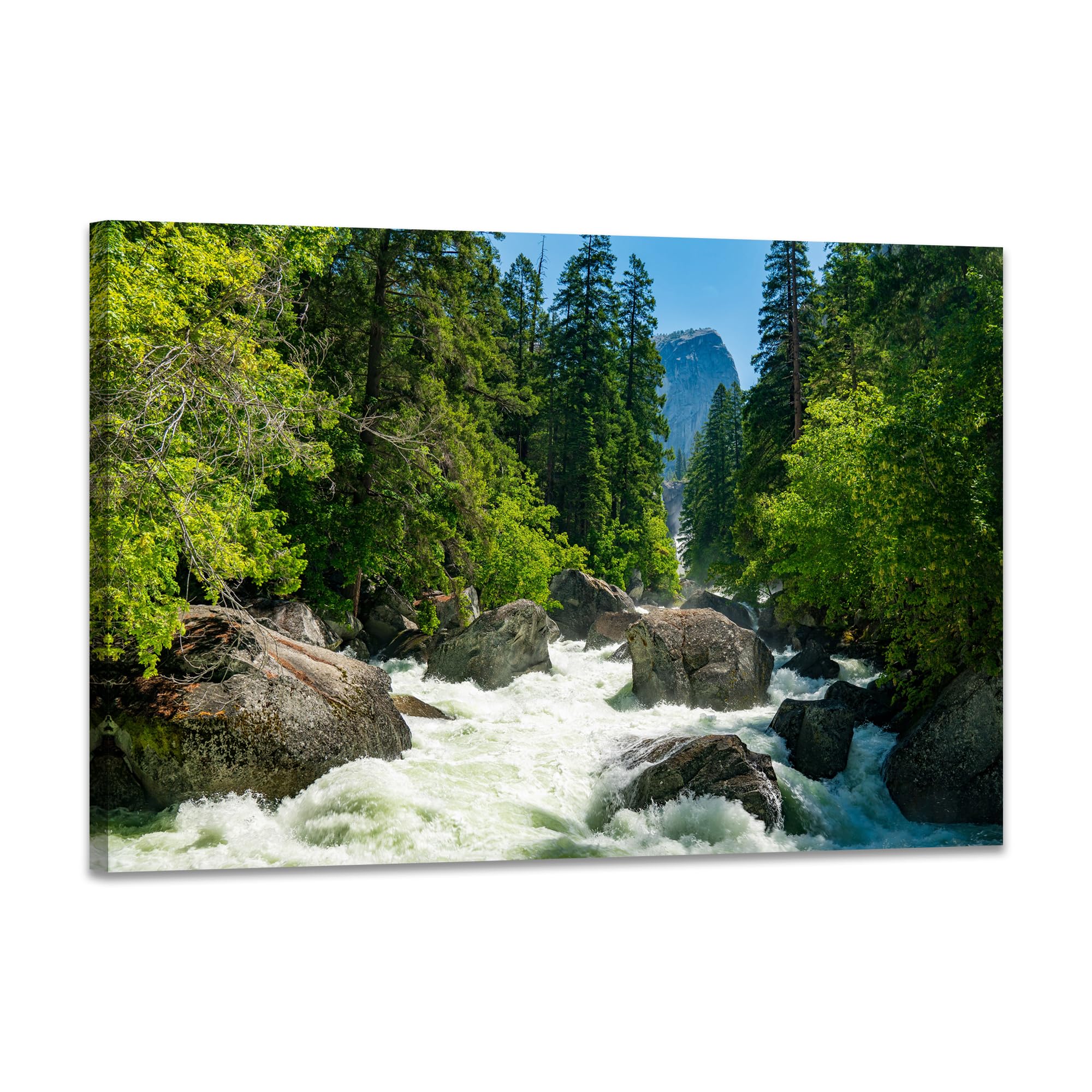 SKASNFAI Grand Teton National Park Canvas Wall Art Mountain Landscape Print Picture Framed Nature Wall Decor for Living Room Office (12L x 16W)