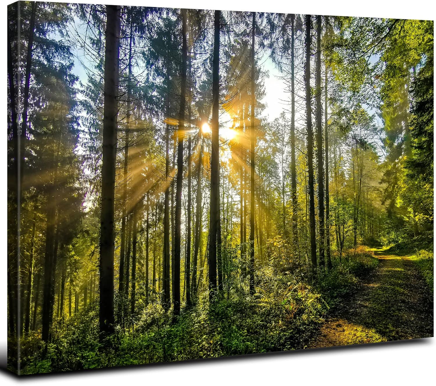 Sunrise Forest Canvas Wall Art for Living Room Nature Landscape Pictures Wall Decor Sunset Woods Mountain Painting Sunset Trees Trail Scenery Photo Prints Poster Artwork Bathroom Decorations 12x16”